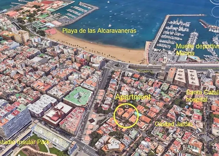 Puccini Oasis - La Rondine